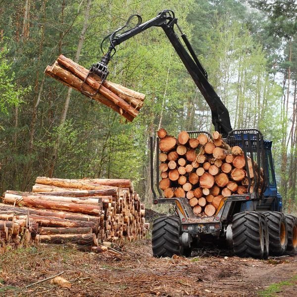 Grade Timber - tree service in Springfield, IL