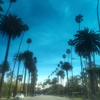 Stuart Z Epstein, MD - Allergists Near Me - Beverly Hills, California Stuart Z Epstein, MD - Allergists Near Me - Beverly Hills, California