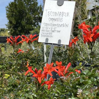 Aki Nursery - Nurseries & Gardening Near Me - Irvine, California