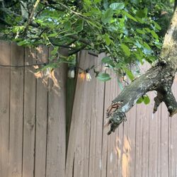 Multi Tree - Tree damage before