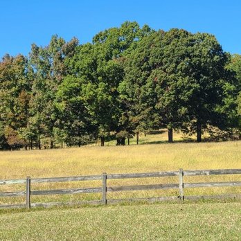 Equine Epiphany - Animal Assisted Therapy Near Me Equine Epiphany - Animal Assisted Therapy Near Me