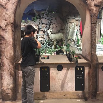 Bass Pro Shops - Neat place! - Outdoor Gear Near Me - Mesa, Arizona