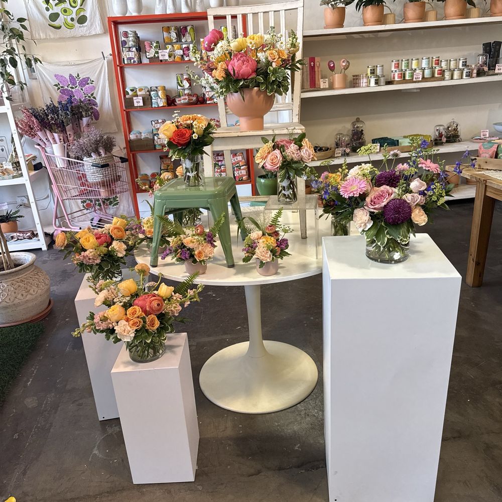 Thistle - Florists Near Me - Tucson, Arizona