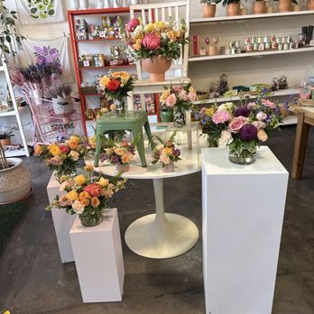 Thistle - Florists Near Me - Tucson, Arizona Thistle - Florists Near Me - Tucson, Arizona