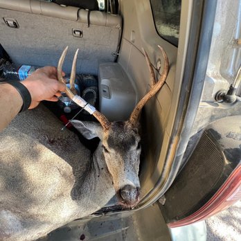 Wilderness Unlimited - 2022 Buck - Social Clubs Near Me - Hayward, California Wilderness Unlimited - 2022 Buck - Social Clubs Near Me - Hayward, California