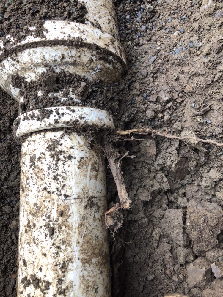 Slide of Limitless Sewer Solutions