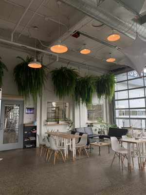 Austin Street Brewery by null