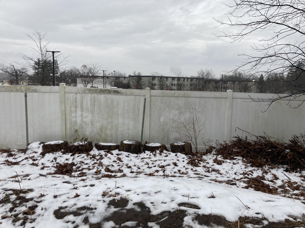 Executive Branch Tree Service - tree service in Elkins Park, PA