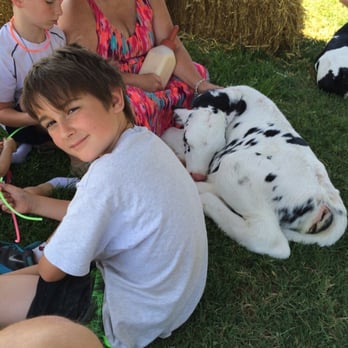 Moo Thru - E w/ 5 hr calf - Ice Cream & Frozen Yogurt Near Me - Remington, Virginia