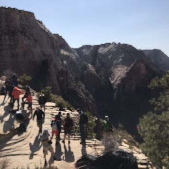 Angel's Landing - Hiking Near Me - Springdale, Utah