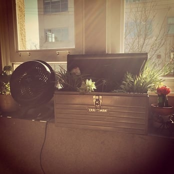 Freakishly Organized - Toolbox for succulents by Freakishly Organized. - Home Organization Near Me - Emeryville, California
