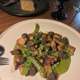 Octopus Octopus