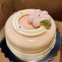 Double Layer Cheesecake Yakult flavour Double Layer Cheesecake Yakult flavour