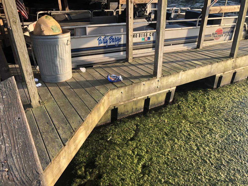 EDGEWATER BEACH RESORT Updated May 2024 2446 State Hwy Y, Forsyth