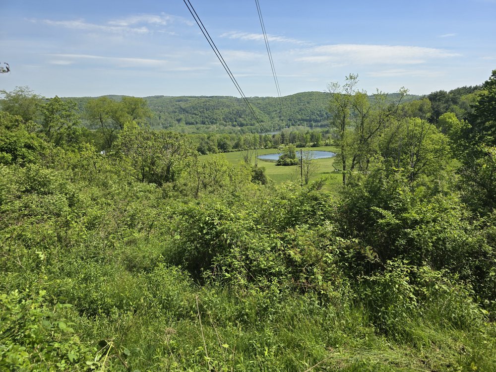 Slide of Buddy's Quality Construction