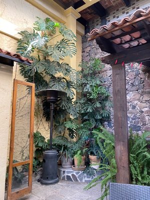 Casa De La Noche Boutique Hotel by null