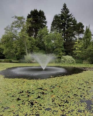 VanDusen Botanical Garden by null
