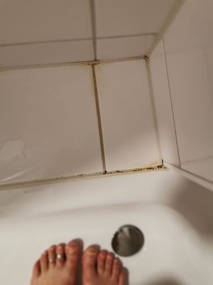 Sleephotels by null