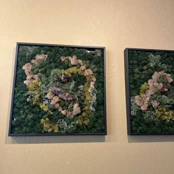 Bello Coffee & Tea - Gloss over and see the green moss growing on walls changing colors - Coffee & Tea Near Me - San Francisco, California