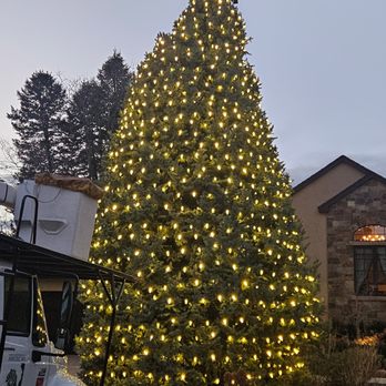 American Arbor Care - Holiday lighting in Greenwood Village, CO 2025 - Landscaping Near Me - Denver, Colorado American Arbor Care - Holiday lighting in Greenwood Village, CO 2025 - Landscaping Near Me - Denver, Colorado