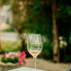 Signor Vineyards