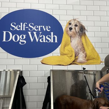Pet Supermarket - This is a nice treat to have for your dog:) - Pet Stores Near Me - Winter Garden, Florida Pet Supermarket - This is a nice treat to have for your dog:) - Pet Stores Near Me - Winter Garden, Florida