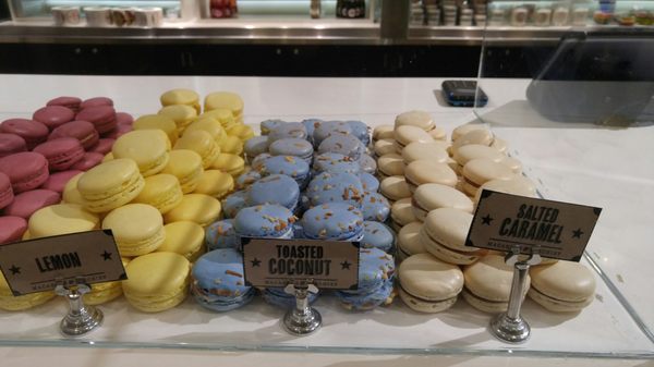 Lady Yum Seatac Airport Concourse A by null