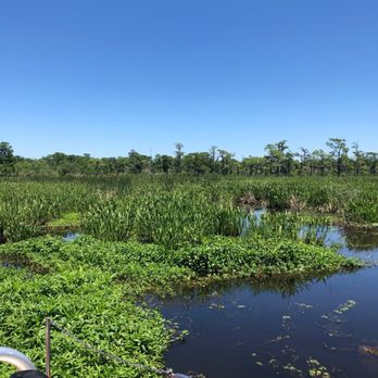 Airboat Adventures - Boat Tours Near Me - Lafitte, Louisiana Airboat Adventures - Boat Tours Near Me - Lafitte, Louisiana
