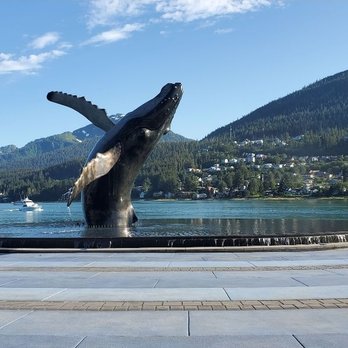 The Whale Project - The Whale Project July 2021 - Landmarks & Historical Buildings Near Me - Juneau, Alaska The Whale Project - The Whale Project July 2021 - Landmarks & Historical Buildings Near Me - Juneau, Alaska