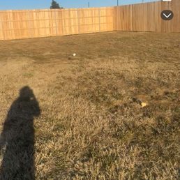 8 foot tall cedar fence with galvanized screws steel posts 8 foot tall cedar fence with galvanized screws steel posts