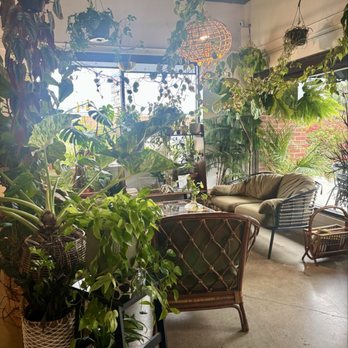 Cafe Conmigo - Coffee & Tea Near Me - Wexford, Pennsylvania