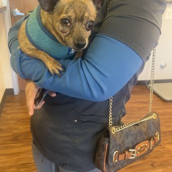 Pet Lux - Veterinarians Near Me - Palm Springs, California Pet Lux - Veterinarians Near Me - Palm Springs, California