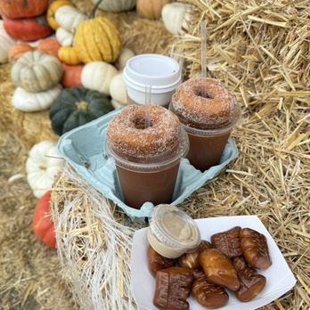 Cider Hill Farm - Pick Your Own Farms Near Me - Amesbury, Massachusetts Cider Hill Farm - Pick Your Own Farms Near Me - Amesbury, Massachusetts
