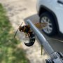 Mid Central Pest Control