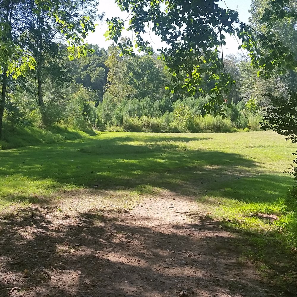 Chattahoochee Pointe Park - Came upon 2 beautiful deer grazing here... - Parks Near Me - Suwanee, Georgia