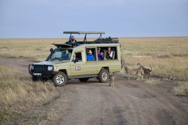 Natural Habitat Adventures by null