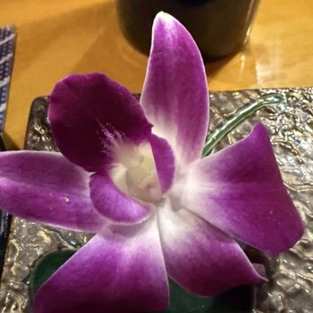 Nagoya Sushi - Sushi Bars Near Me - Rockville, Maryland
