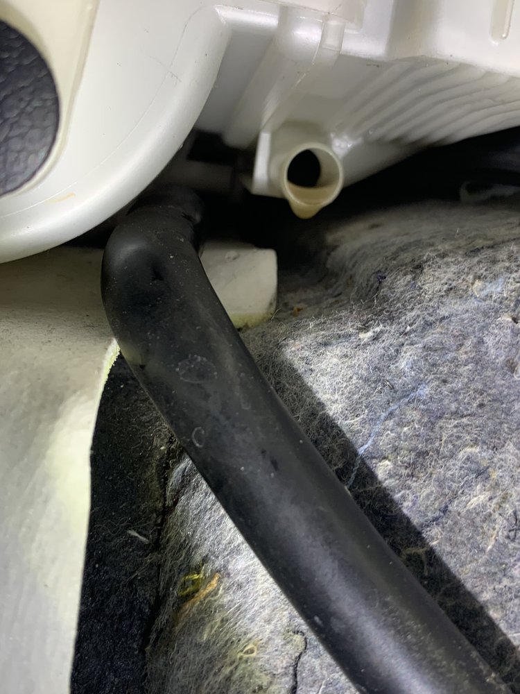 PROLINE AUTOMOTIVE & TIRES Updated June 2024 13044 Palm Beach Blvd