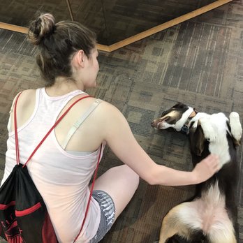 Zion Prospector - Super cute and friendly dog! - Jewelry Near Me - Springdale, Utah