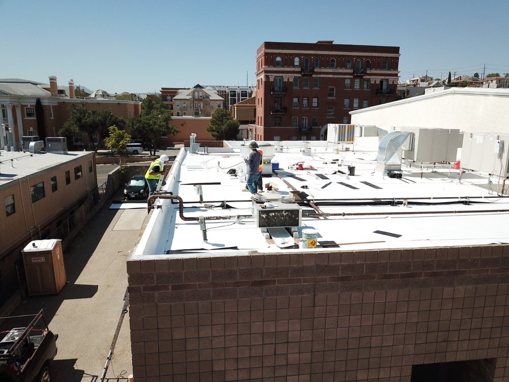 Slide of Gorilla Group Restoration