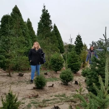 Frosty Mountain Tree Farm - Christmas Trees Near Me - Sebastopol, California