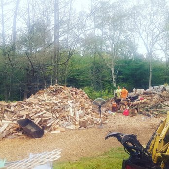 Ninja Tree Service - Tree Services Near Me - Canterbury, Connecticut Ninja Tree Service - Tree Services Near Me - Canterbury, Connecticut