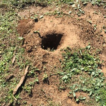Lake Arrowhead State Park - Not groundhogs rather prairie dog holes lol - Parks Near Me - Wichita Falls, Texas