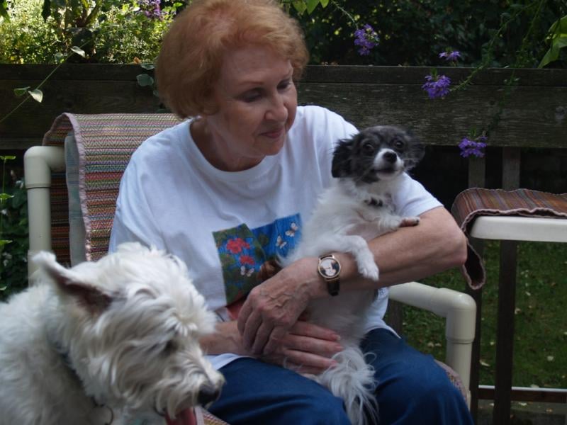 PAWSITIVE DOGGIE DAYCARE AND BOARDING 4082 Devonshire Dr NE, Marietta