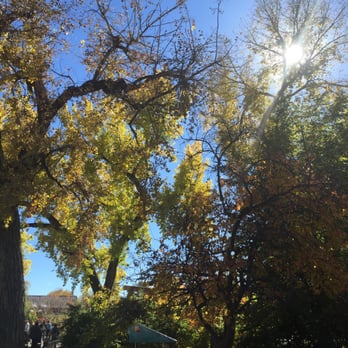 Denver Zoo - Big tree - Zoos Near Me - Denver, Colorado