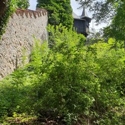 Burghalde - Burgmauer und Wehrturm
