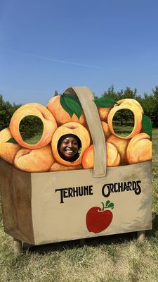 Terhune Orchards by null