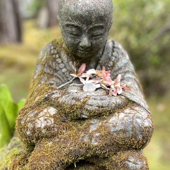 Cafe Ono - Coffee & Tea Near Me - Volcano, Hawaii