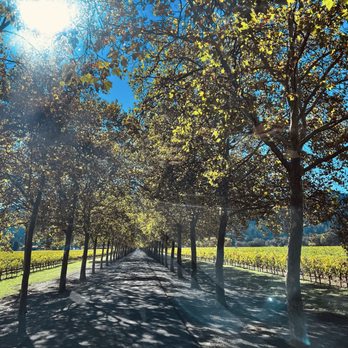 Beaulieu Garden - Venues & Event Spaces Near Me - Rutherford, California