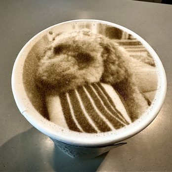 Pappalecco - Mike's dog design on his latte. - Cafes Near Me - Plano, Texas Pappalecco - Mike's dog design on his latte. - Cafes Near Me - Plano, Texas